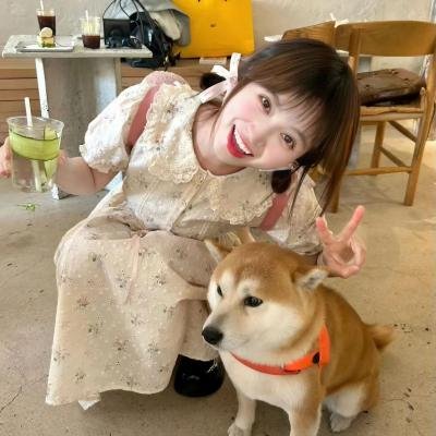 消失的爱人